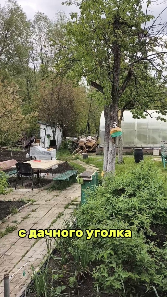 К вечеру обещали грозы