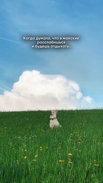 Мы не даем себе расслабиться