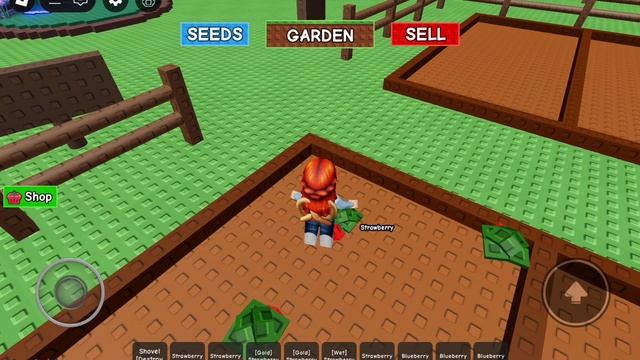 вырастила сад в roblox