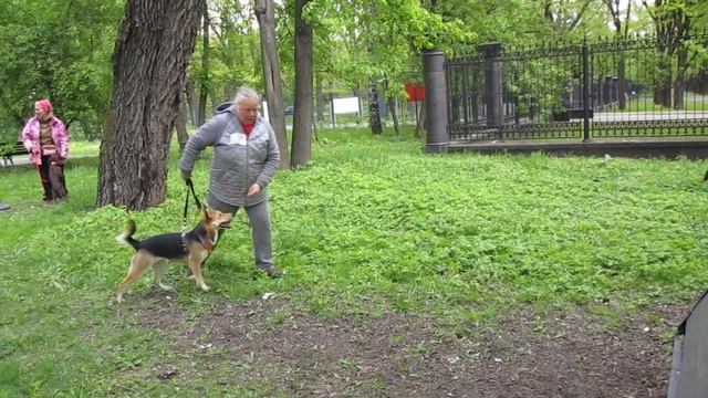 Кубок Победы. Клёпа. Горка2