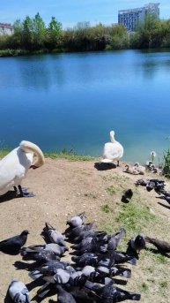 в парке