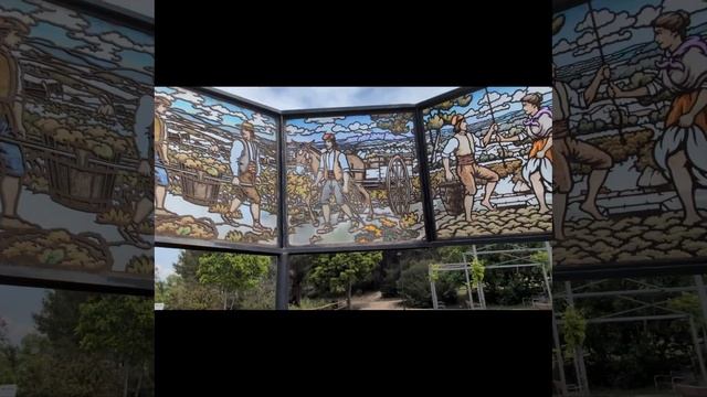 645.Процесс виноделия. В картинках, кратко и по сути.