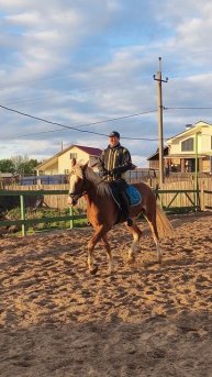 Алексей и Каспер, принимание на рыси направо.