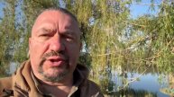 О перемирии. Мысли вслух…