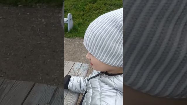 ролик с едой 2 часть
