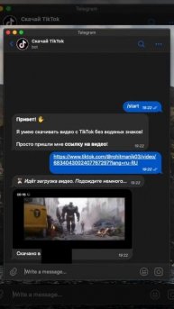 Бот «Скачай видео из TikTok» | Разработка ботов Telegram