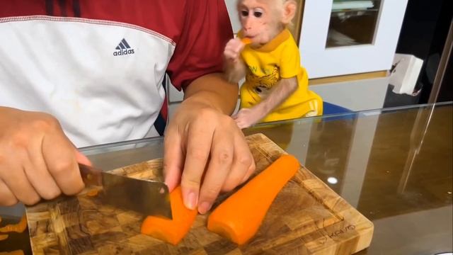 Обезьянка играет на ПИАНИНО Помогает готовить обед Одаренная Уникальная СМЕШНАЯ КРОХА