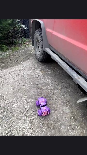 Дочь предложила устроить конкретный заезд... 😁