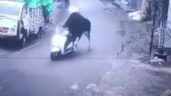 Угнал моторашку