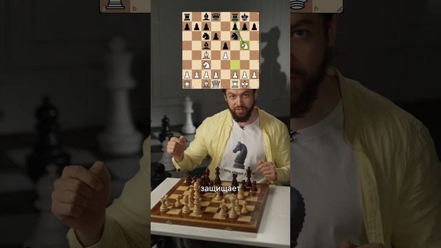 Базовые правила игры королём #шахматы #chess