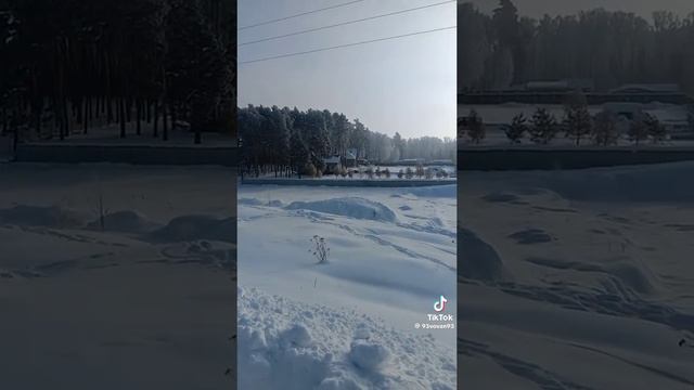 🔥 Цыпленок табака по рецепту Высоцкого 🔥
