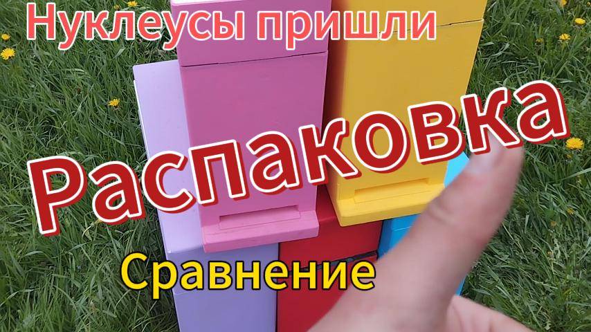 !!!!Распаковка!!! Пришли нуклеусы #Пчеловодство #пчелы