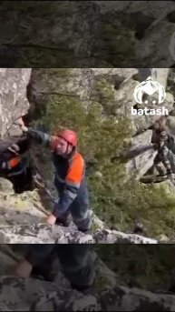 встреча с медведем в белорецком районе