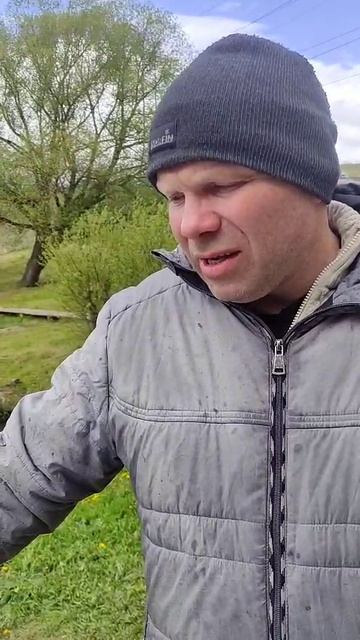 Шикарный улов форели.