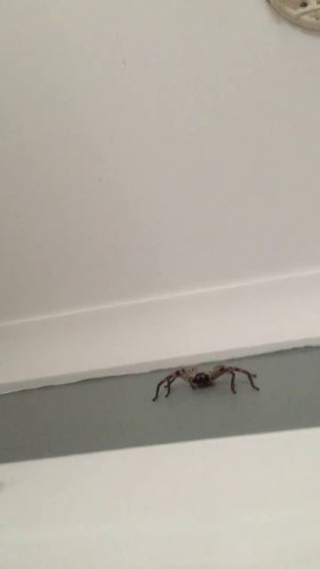 Посмеемся (607)