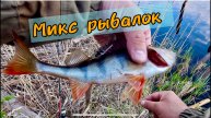 Микс с рыбалок…