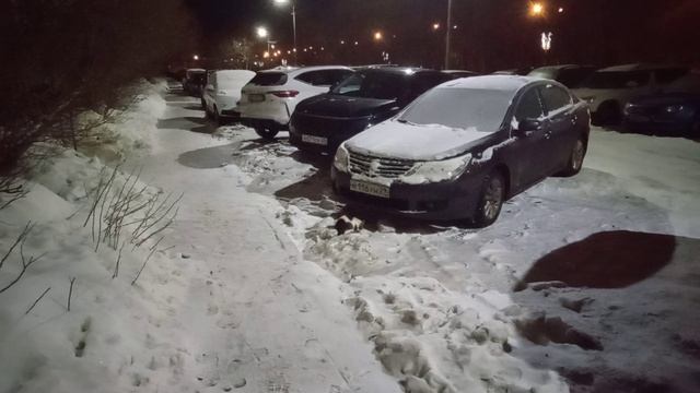 Уличный котик кушает ^^
