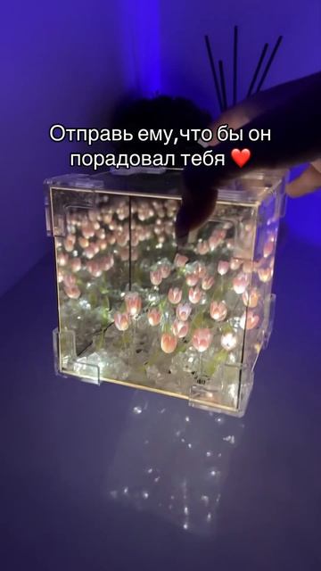 Какая красота 😍артикул на WB 🌷229256333 #ночник#тюльпан#з?