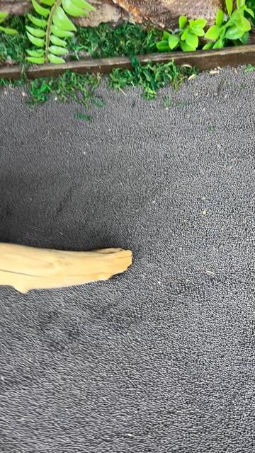 НК562