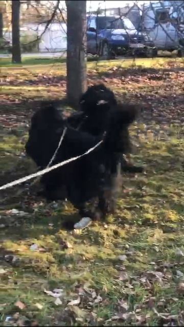 VID-20250509-WA0018