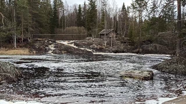 VID_20250508_110858.mp4