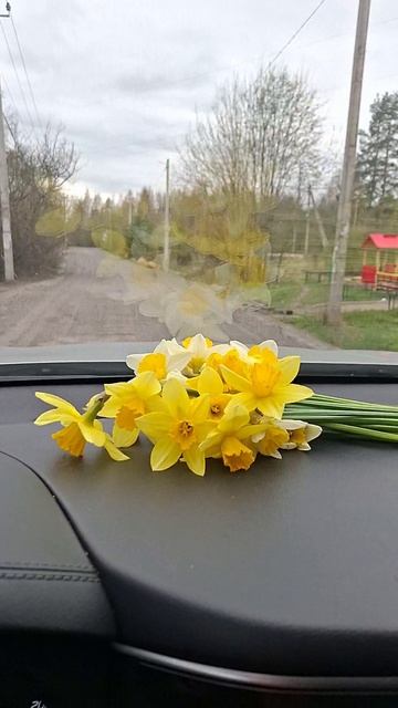 Нарцисс