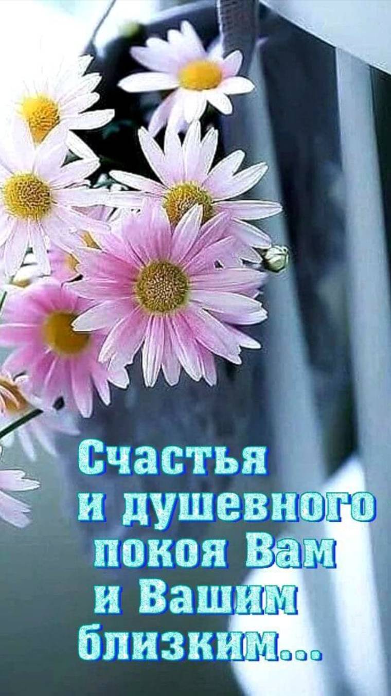 Чем же порадуют Вас текущие выходные дни?💥