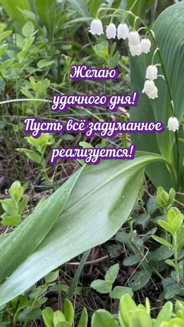 С добрым утром!💐#пожеланиядня#весна#shorts