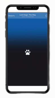 Lost Dogs The Way Как заработать больше криптовалюты $NOT в игр?