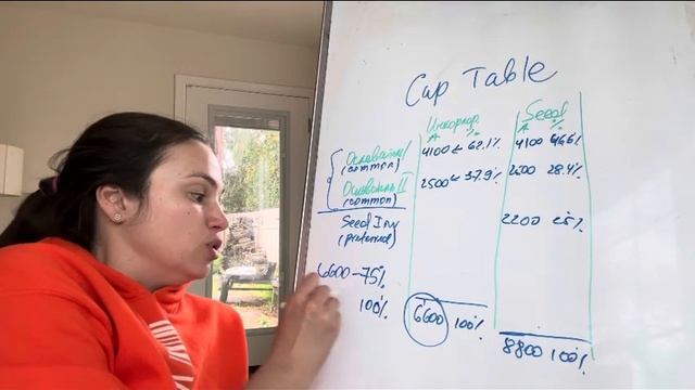 Пример cap table