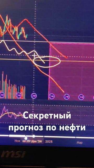 15 ноября 2024 г.