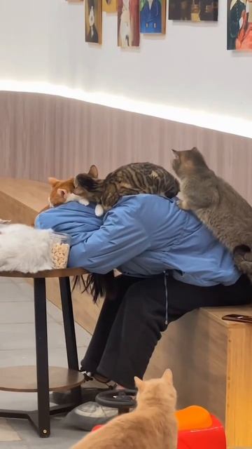 Если - антидепрессанты, то только такие😍