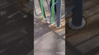 Тренировки с Владимиром Николаевичем - море позитива , максимум пользы , новые знакомства !!! 👍👍👍