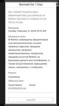 забанили в роблокс, за что? #бан #рекомендации #актив (11