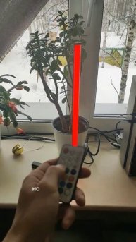 Физический опыт с красным светом #егэ2023 #физика #timurpekov