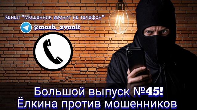 Большой выпуск №45! Ёлкина против мошенников