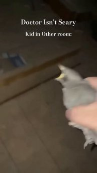 хз что писать. орущая птица