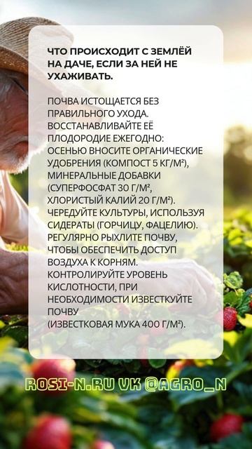 Что ждет дачную землю без ухода