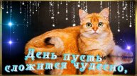 ДОБРОГО ТЕБЕ УТРЕЧКА ОТ БРАТЬЕВ НАШИХ МЕНЬШИХ🌹С ДОБРЫМ УТРОМ ДРУГ🌹ХОРОШЕГО ДЕНЬКА И ПРИЯТНОГО ВЕЧЕ
