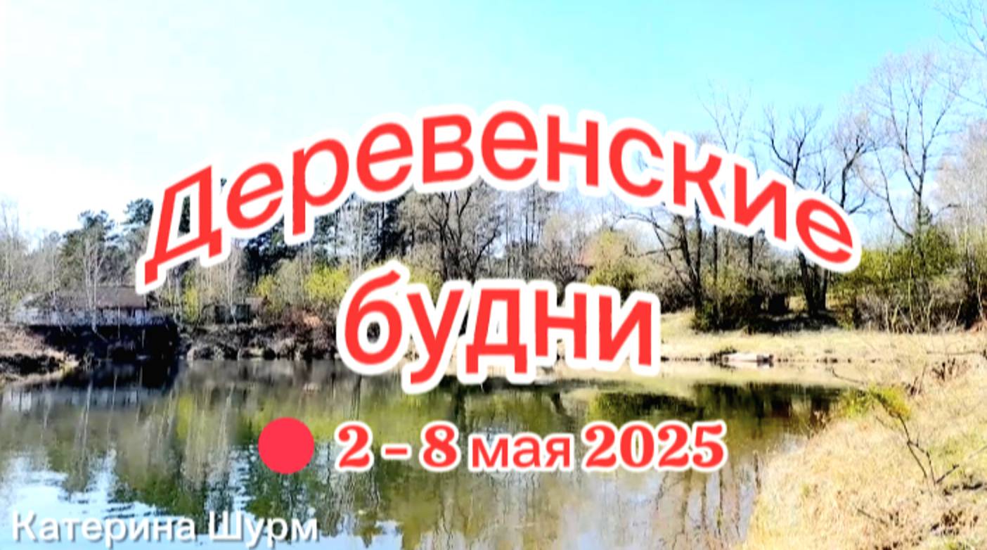 #2|25 Деревенские будни |Ремонт дороги|  Природа, Енисей| Клещ | Поездка в город | Температура