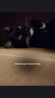 scene_output.mp4