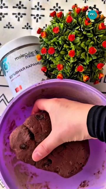 Шоколадное печенье с взрывной карамелью Molecularmeal (артикул на WB: 11468867)