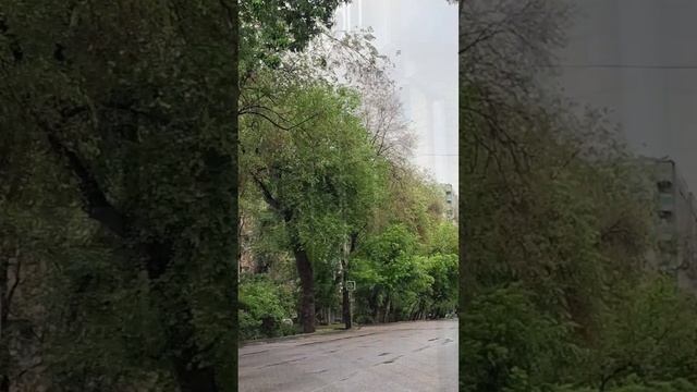 Утро Алматы. 11.05.2025