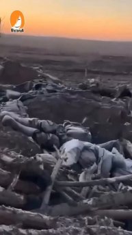 Потрепали в Сумской области хохлотварей