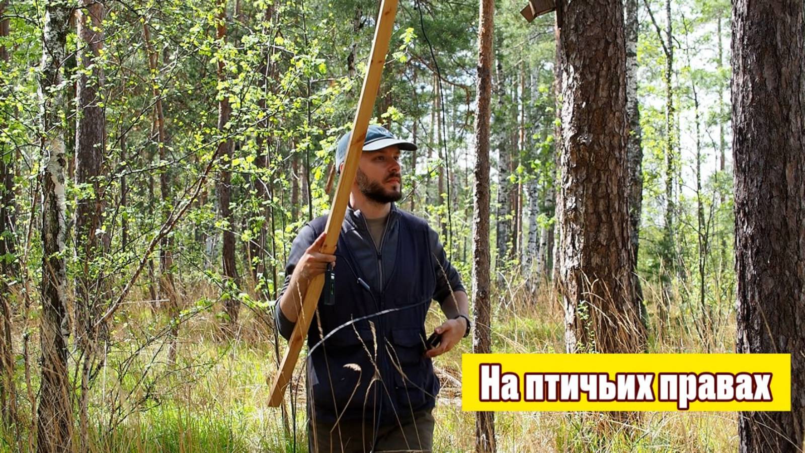 На птичьих правах: как пернатые решают квартирный вопрос в Челябинске