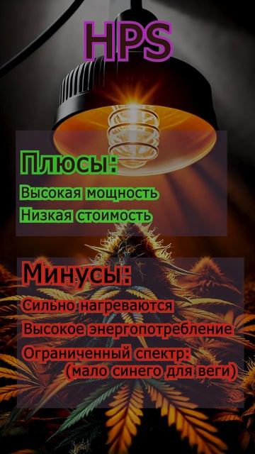 🌱Лучший свет для автоцветов: LED, HPS или CFL? 🌱 #shorts  #led