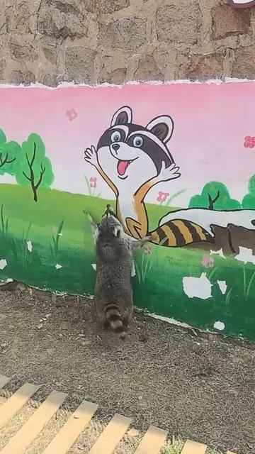 Ноты и рисунки