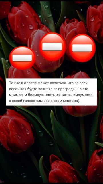 Собака | Прогноз на апрель #бацзы #фэншуй #феншуй #астро