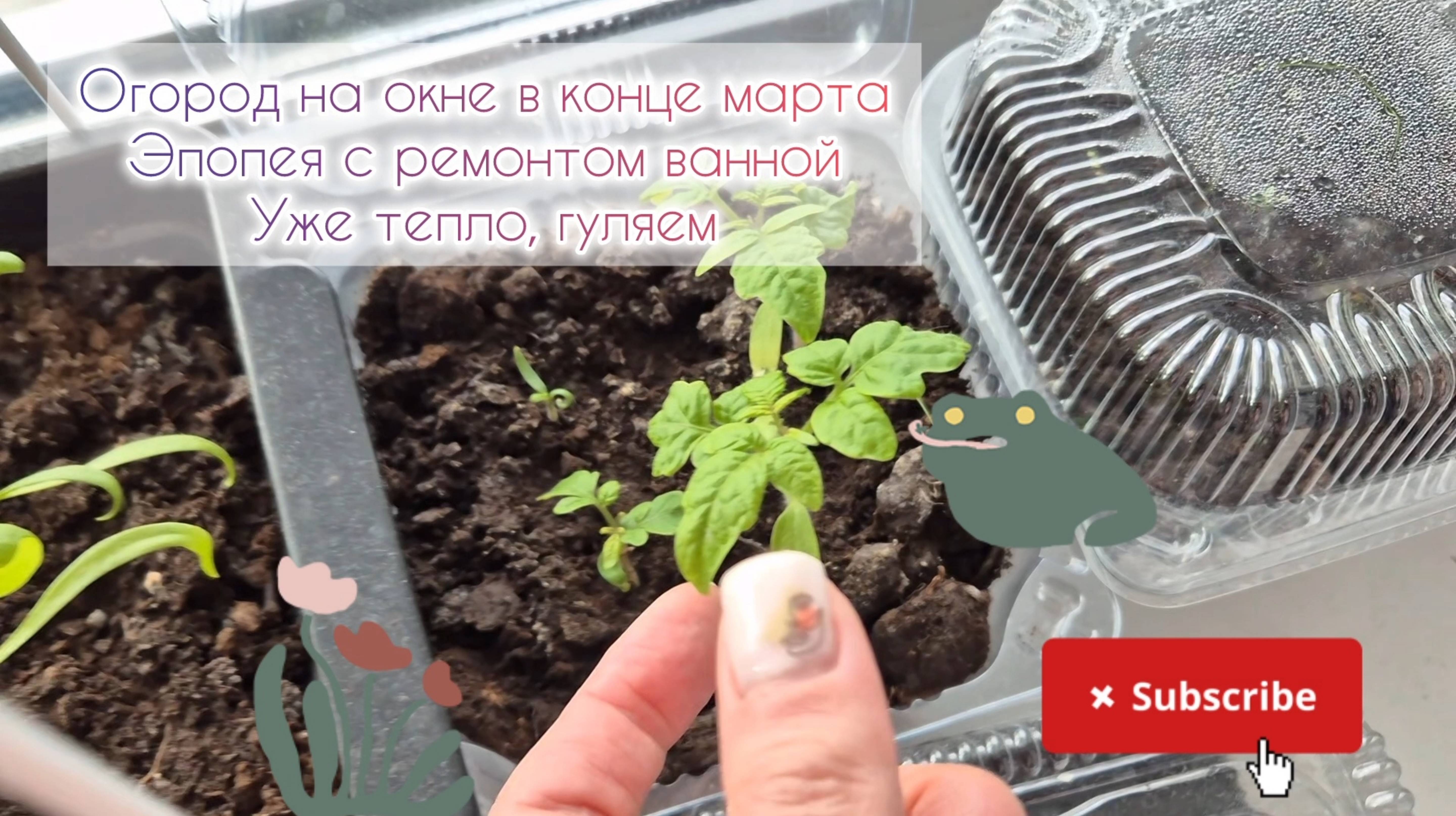 Огород на окне в конце марта🌷Эпопея с ремонтом ванной🛁Уже тепло, гуляем☀️