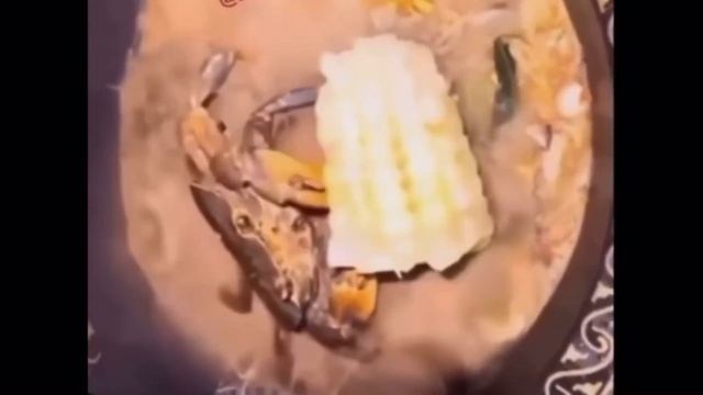Краб ест кукурузу